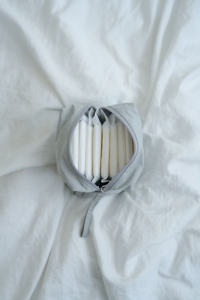 puff pouch (grey_nylon)