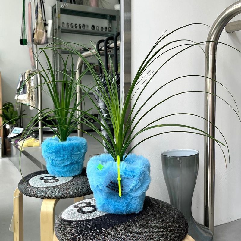 FLUFFY POT (M