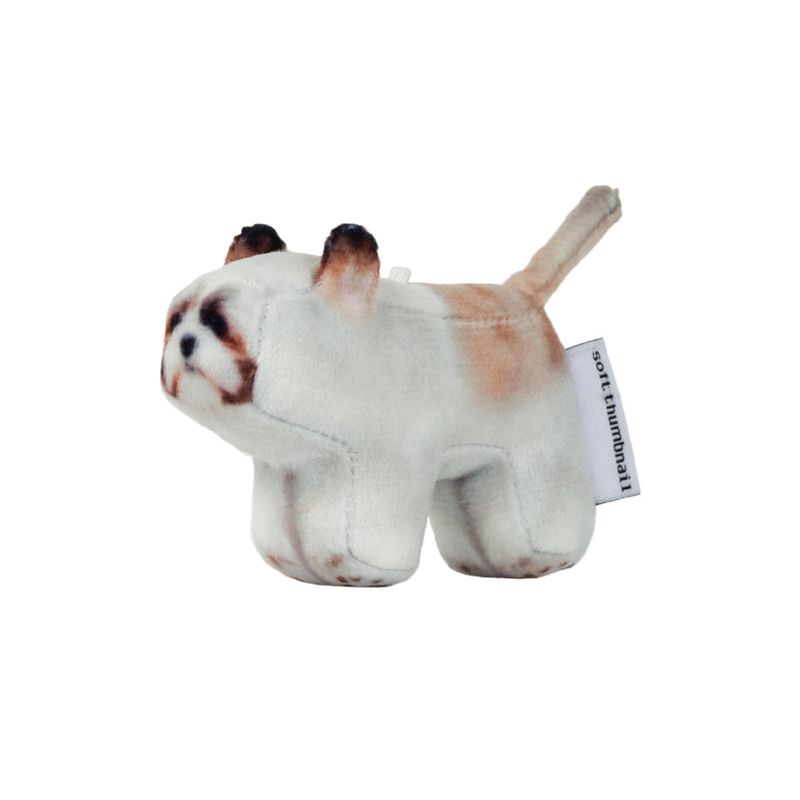 Siru, Shih Tzu