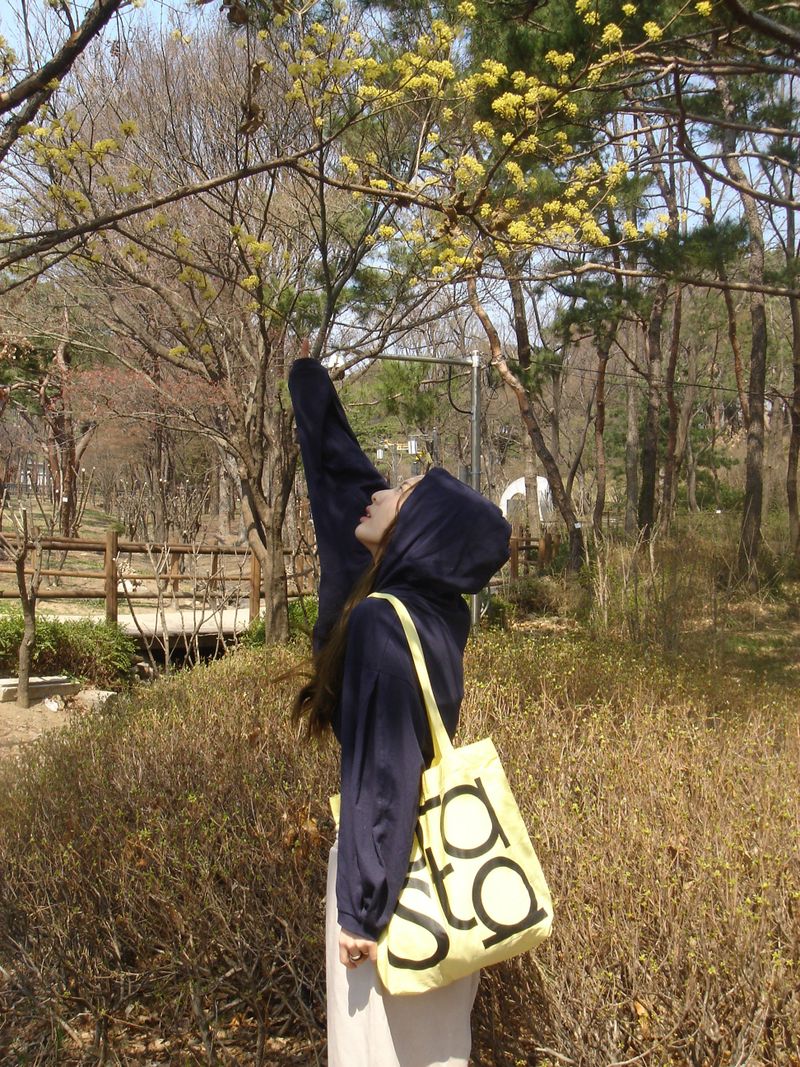 Palette Eco Bag (15colors)