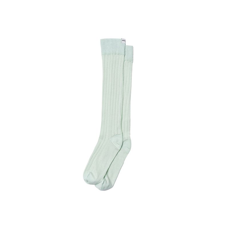 Soft Sheer Daily Socks_4 color