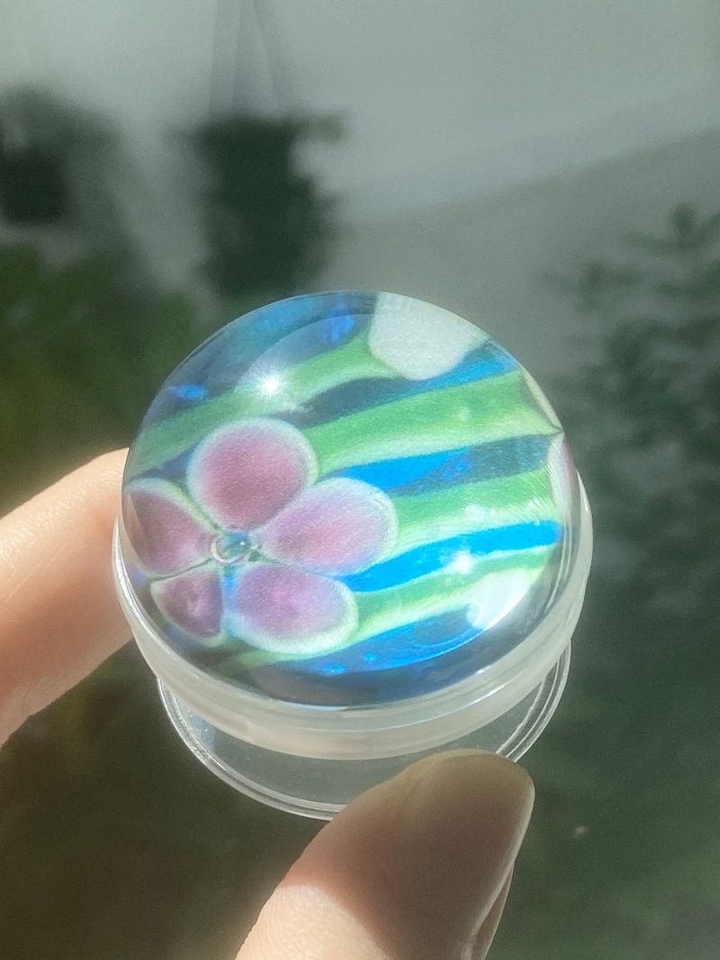 [hawaiian flower tok]