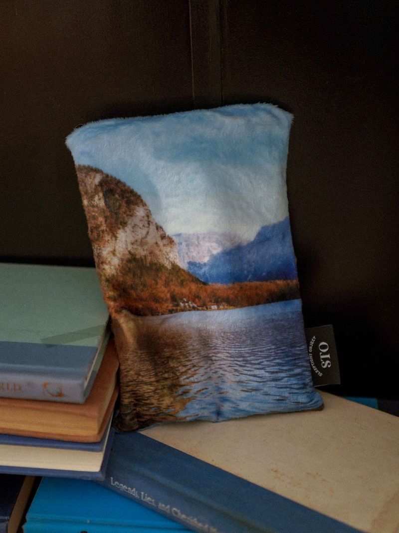 winter lake pouch