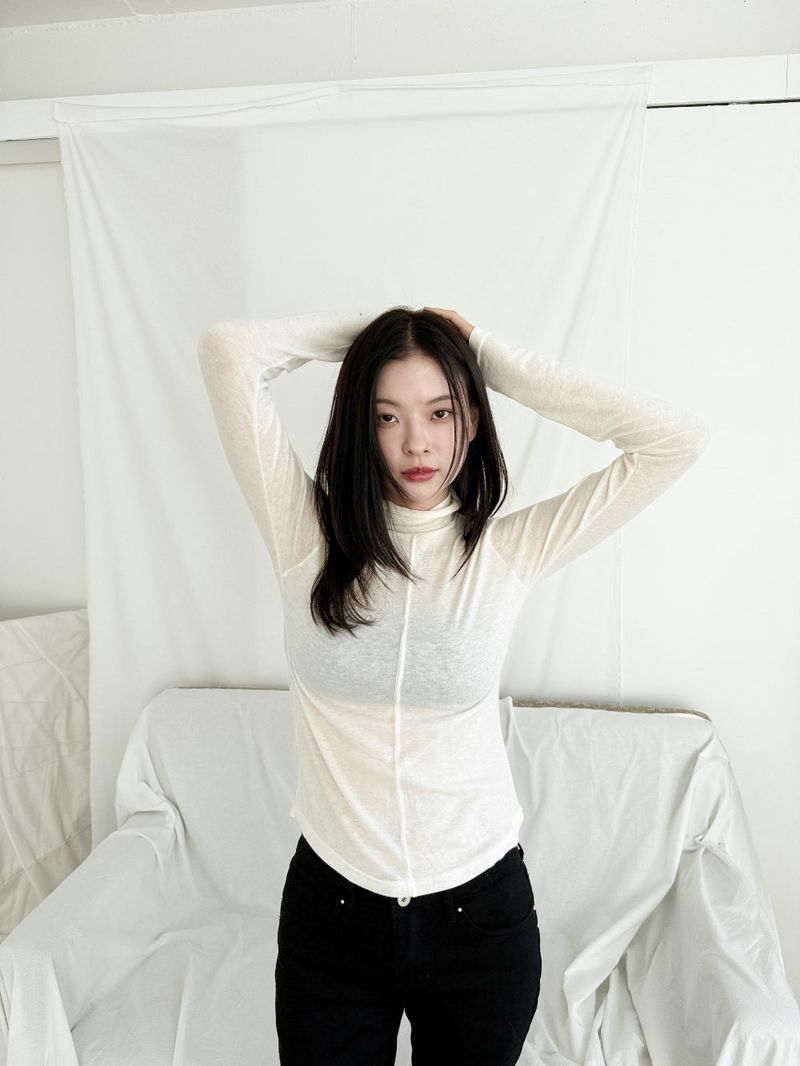  BASIC HIGHNECK TOP