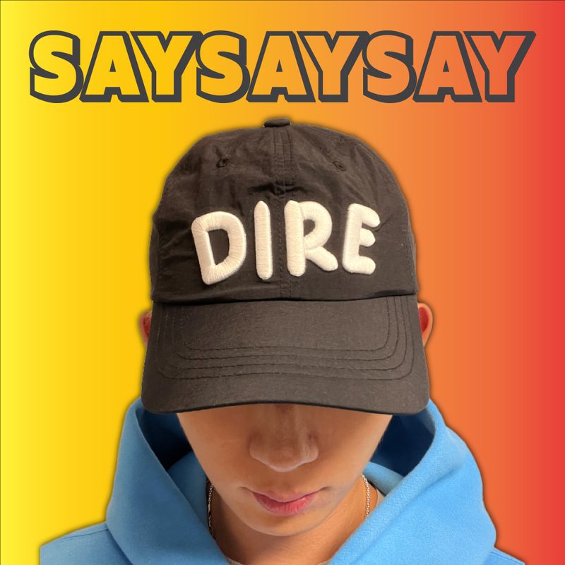 SAYSAYSAY（セイセイセイ）の「DIRE Nylon ball cap Black（Hats）」