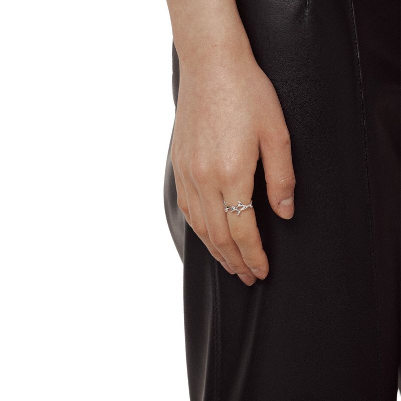LAN RING