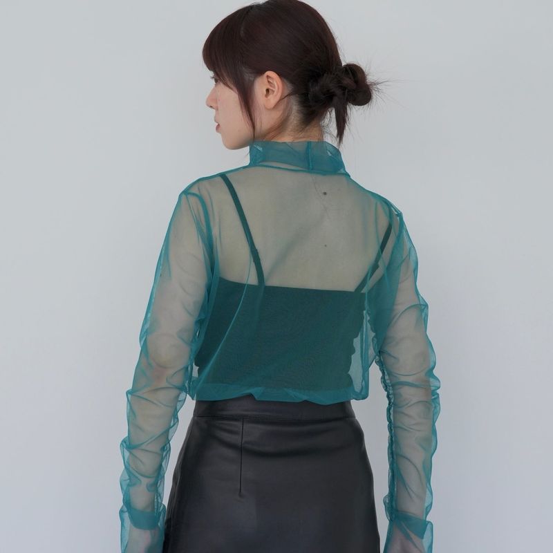 sheer mesh turtleneck