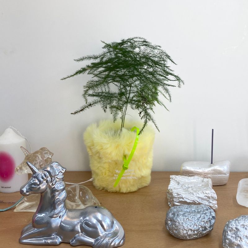 FLUFFY POT (S
