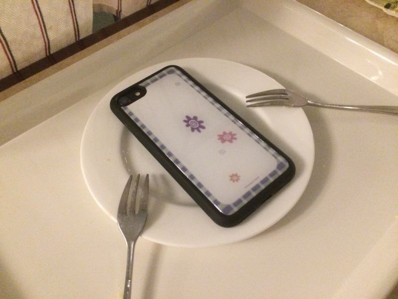 [ORDER MADE] Garden Case 01