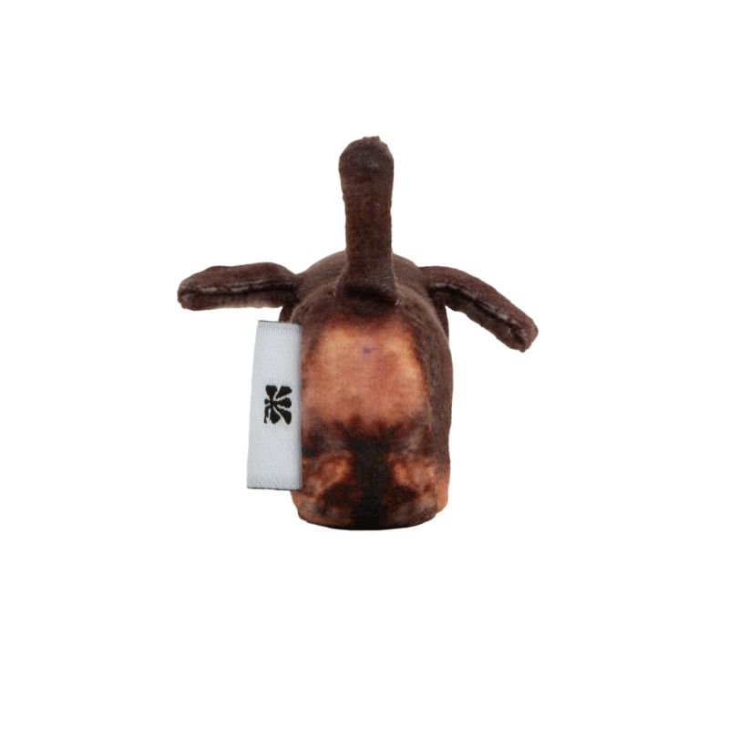 Tam, Dachshund