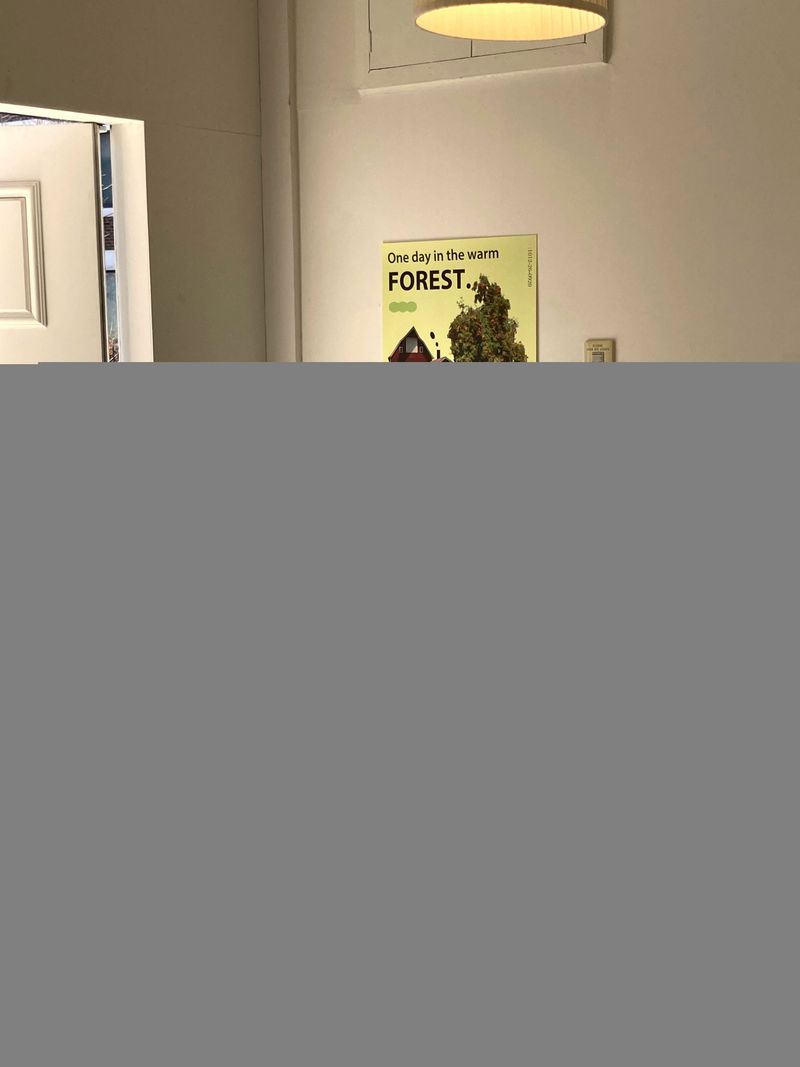 warm forest poster