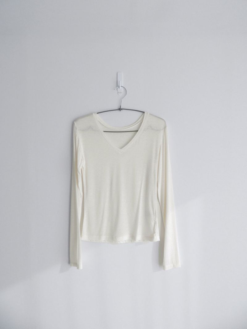 sheer v-neck tee (4c)