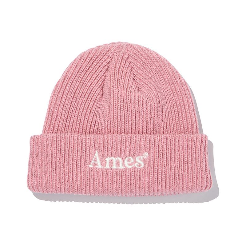AMES WORLDWIDE（アメスワールドワイド）の「COLORED LOGO BEANIE_PK(21FWCP03)（Hats）」