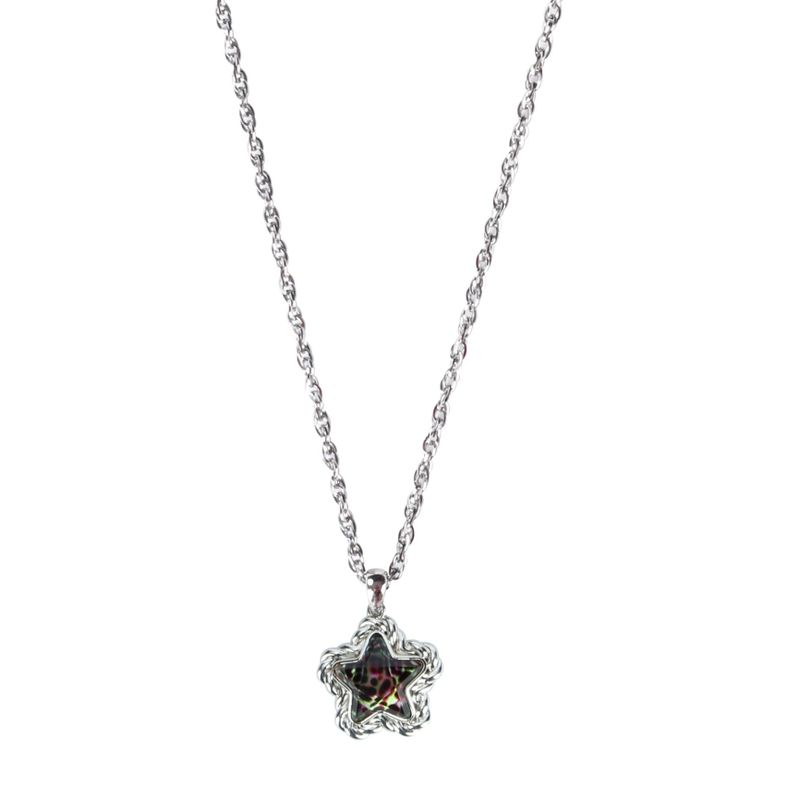 TWENTYONEAUGUST(トゥエンティワンオーガスト)の「スター レパード ネックレス(アクセサリー)」