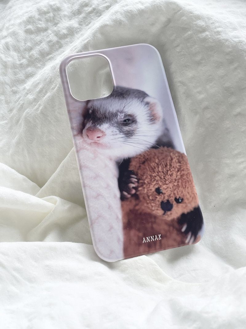 [my teddy bear ferret hard case]