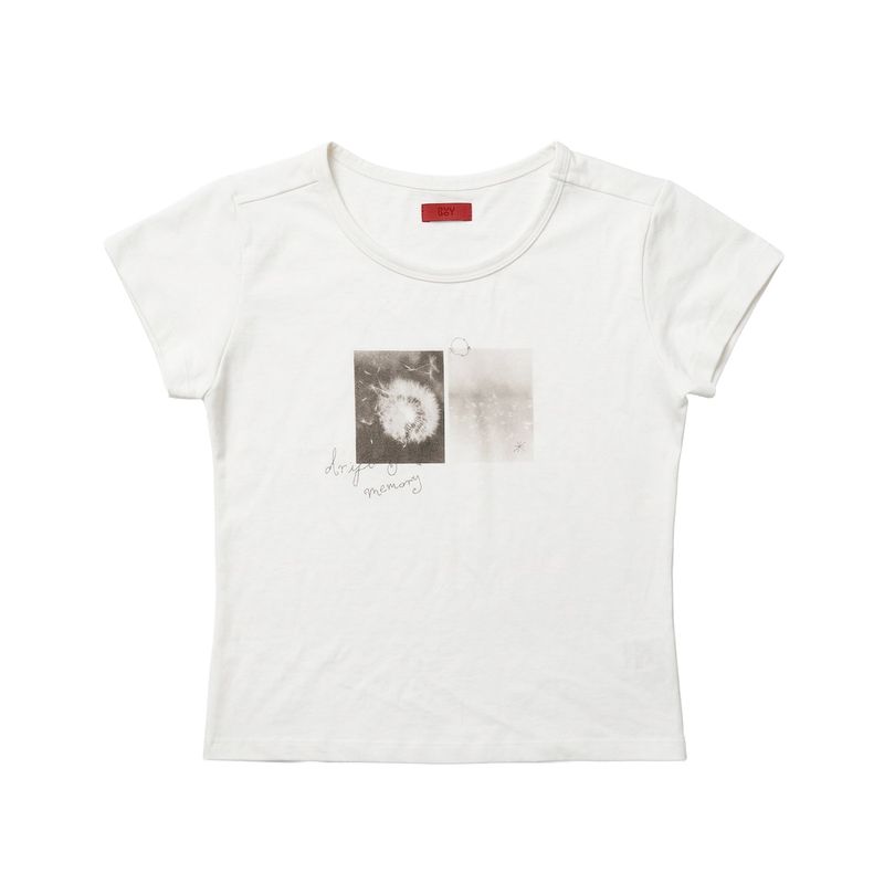 BUOY（ブオイ）の「デイダイアリーミニTシャツ（トップス）」