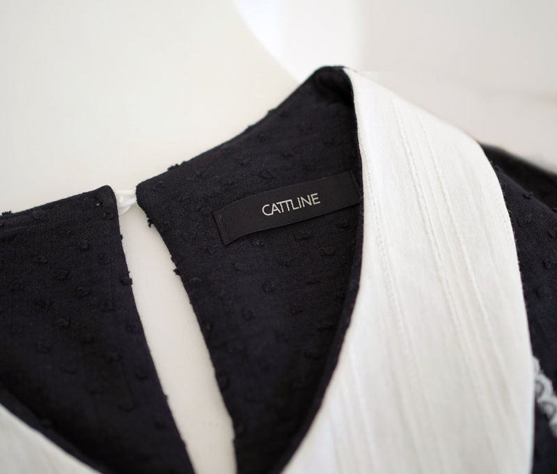 collar point blouse