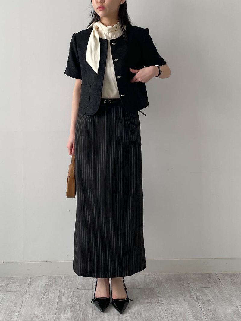 Rivet Stripe H-Line Skirt
