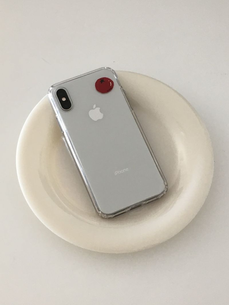 tomato case 