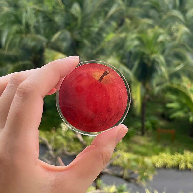 Apple acrylic griptok
