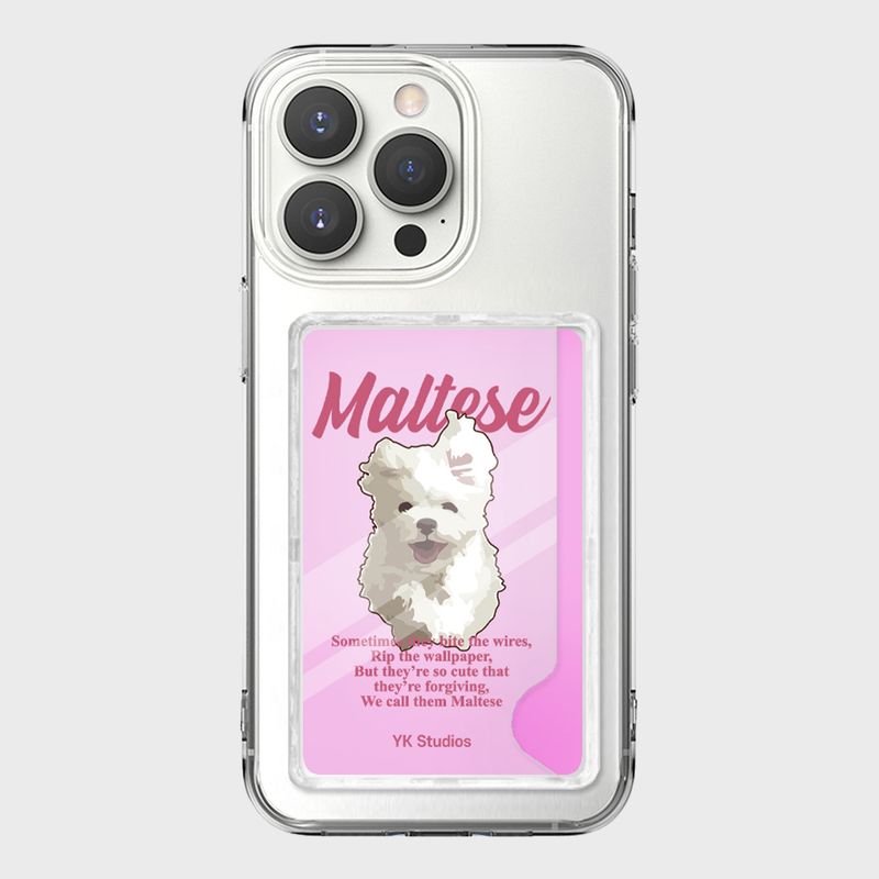GOOREUM illustration card storage jelly hard case