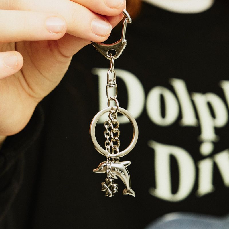 Dolphin key ring