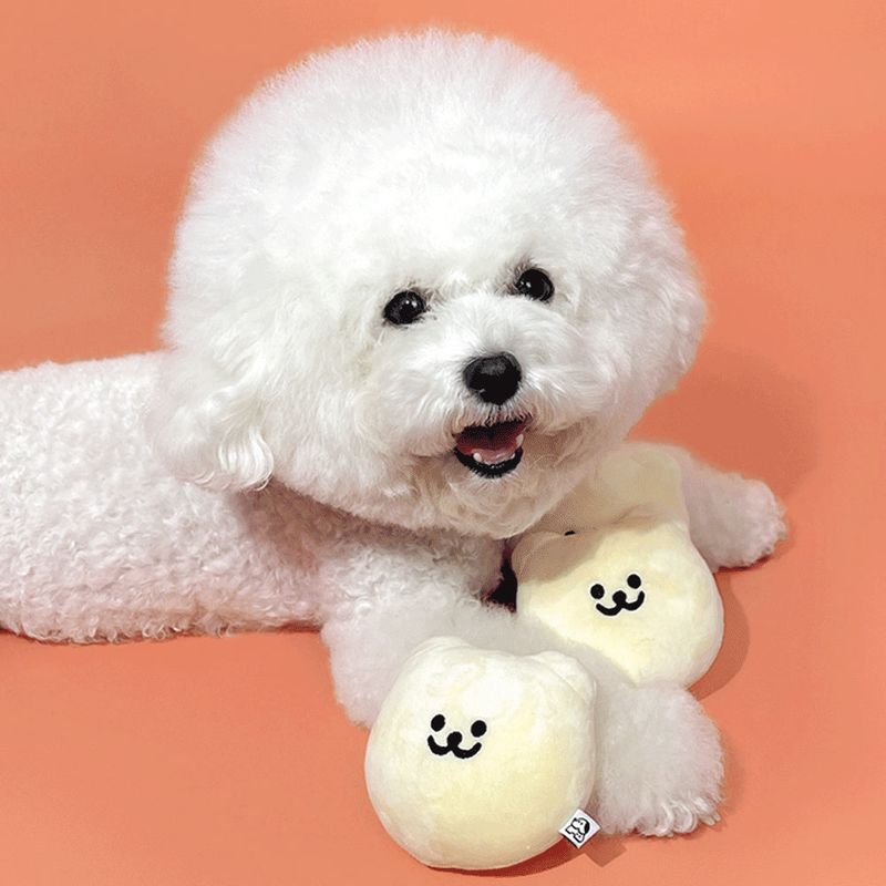 Pet Toy Gomzzi