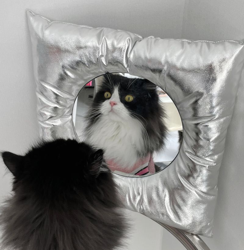 CUSHION MIRROR(WHITE)