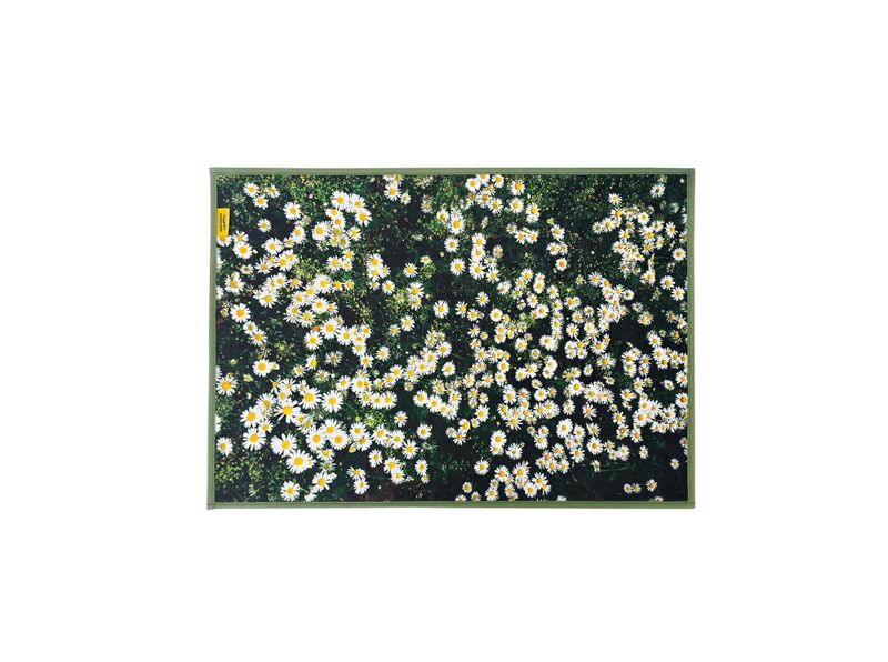 [1+1] Landscape foot mat