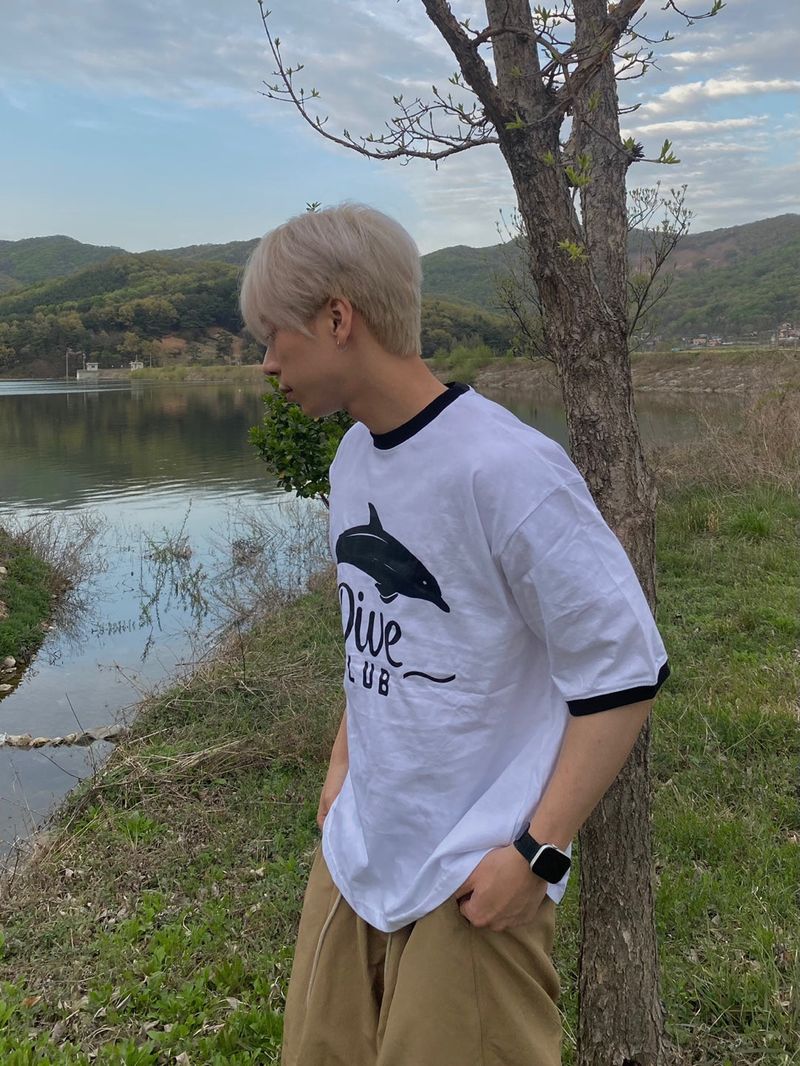 dolphin half T