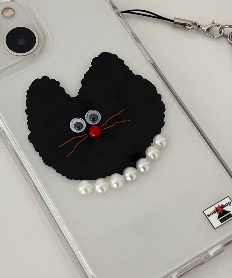 black cat case
