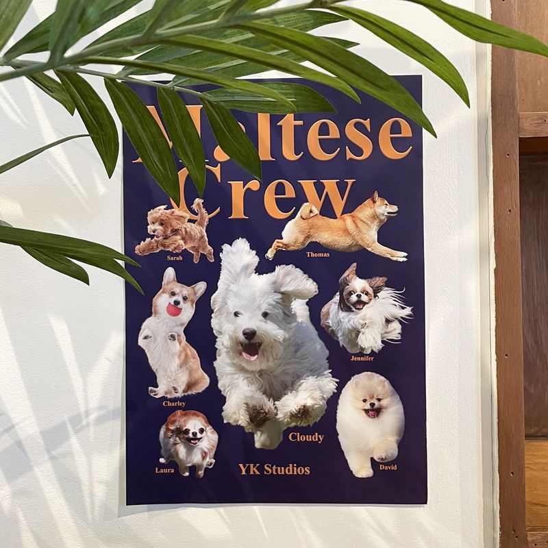 Maltese crew matt POSTER A3