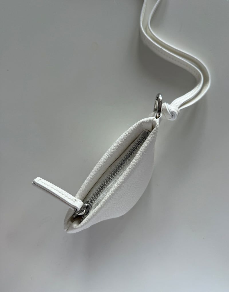 coin bag