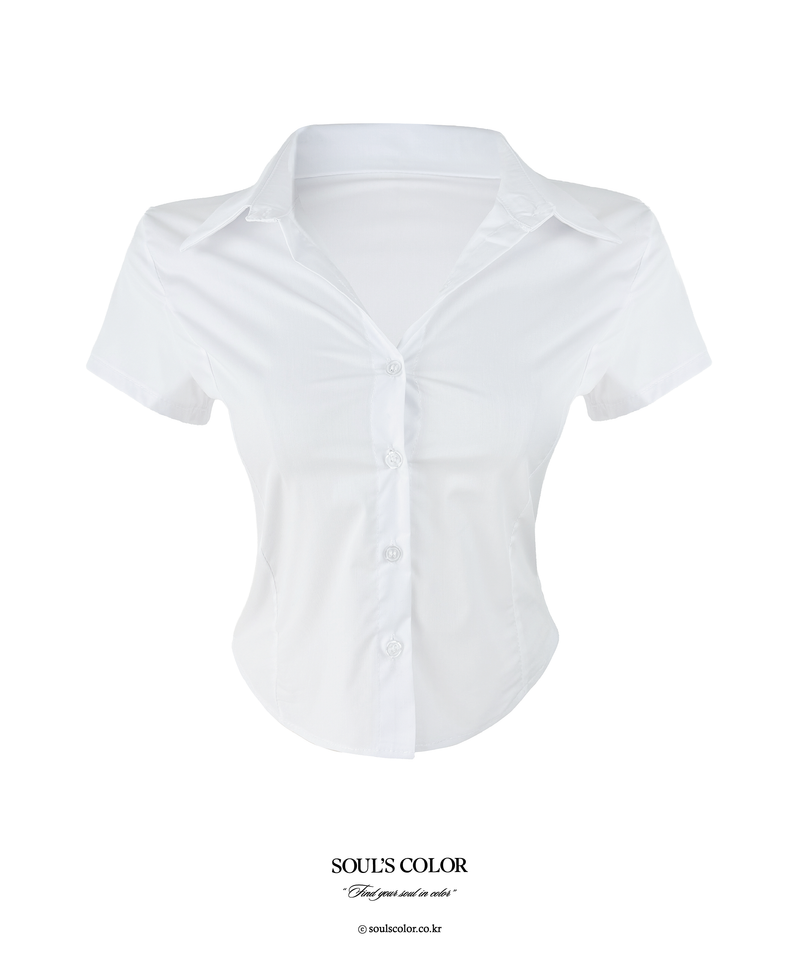 Classic Basic Slim Shirt (3color)