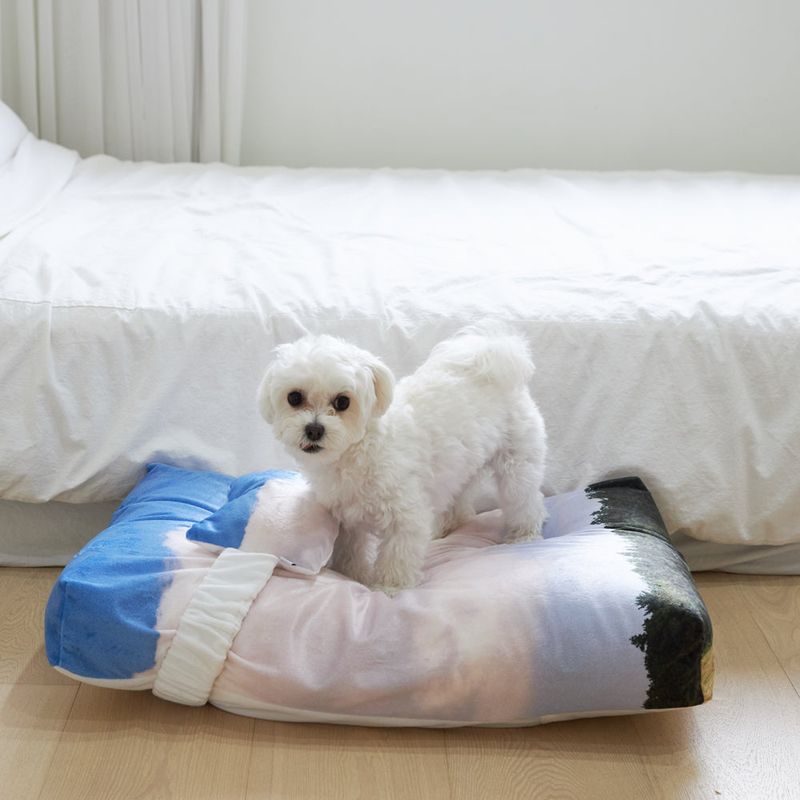 photozeniagoods（フォトゼニアグッズ）の「Jeju landscape pet cushion + cover set（Smartphone Accessories）」