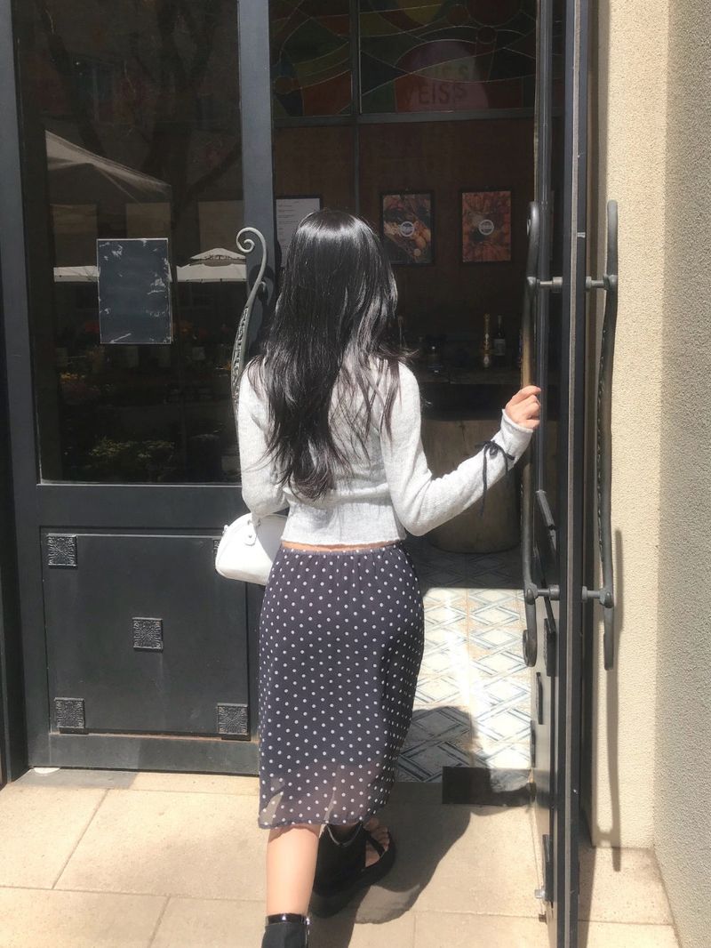 Misty Sheer Dot See-through Mini Skirt