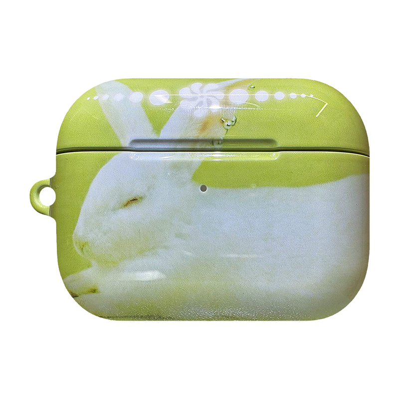 Furry Friends airpods case_Rabbit
