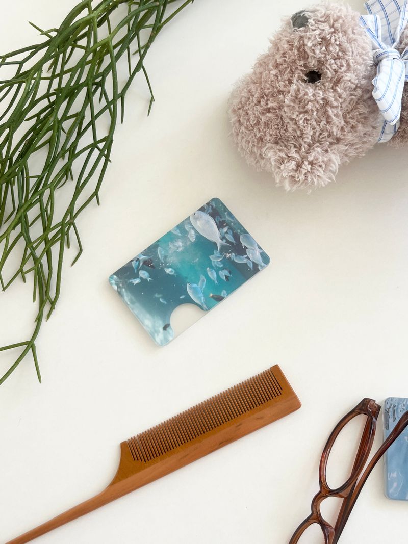 [my little aquarium magsafe cardslot]
