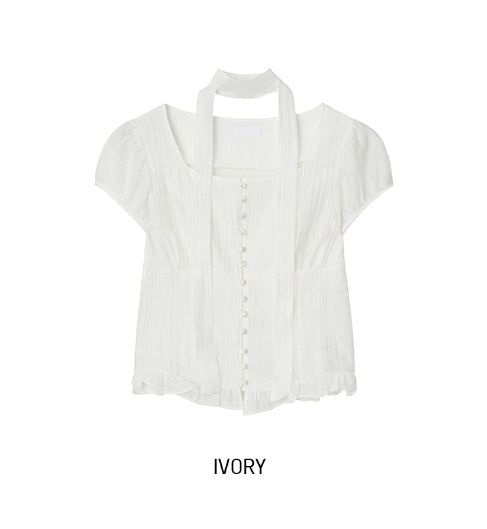 Delre Sheer Wrinkle Blouse