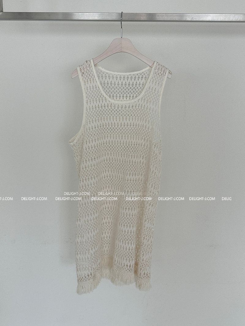 Fringe Mesh Crochet Layered Dress