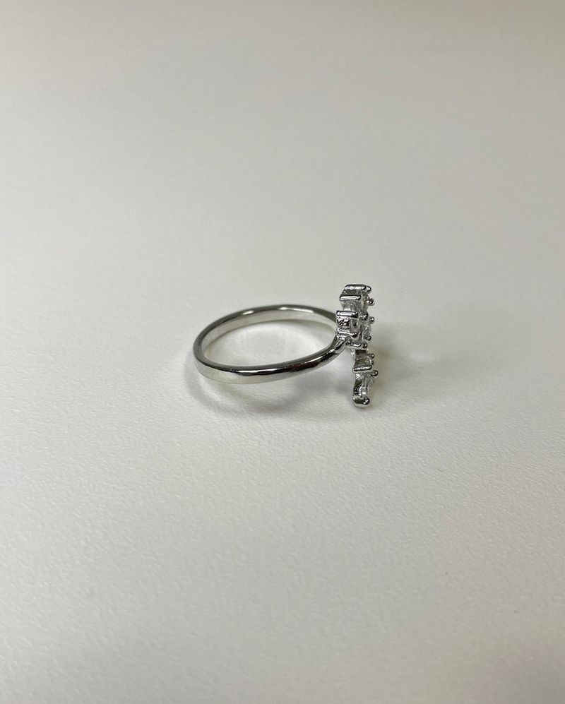clover two line ring (925silver)