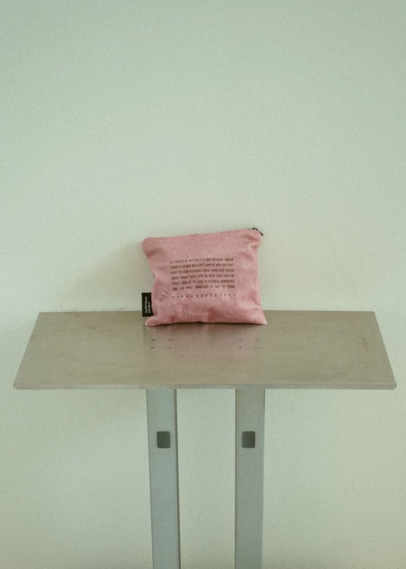 LNL pessoa pouch (4 color)