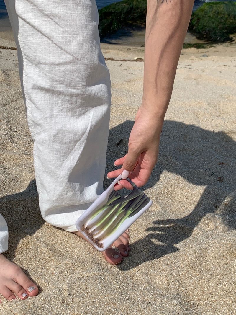 Leek case - jelly hard