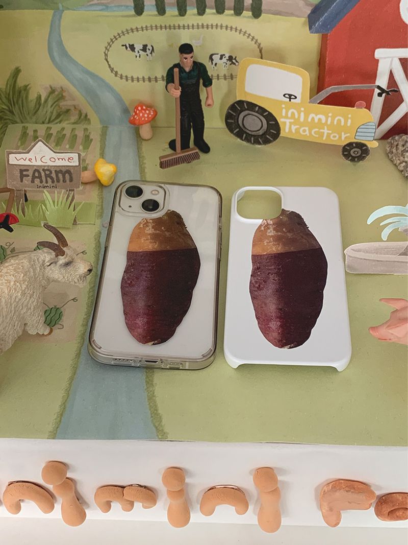 Sweet potato case - Matt hard