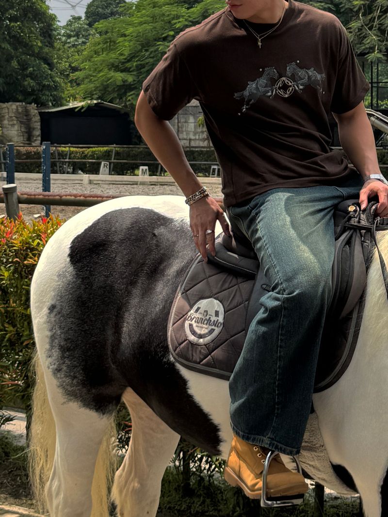 ブラウンホースティニーT