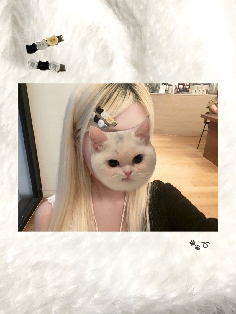 cat button hairpin