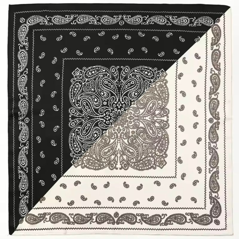 Paisley scarf