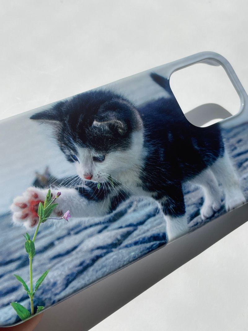 [playful baby kitten hard case]