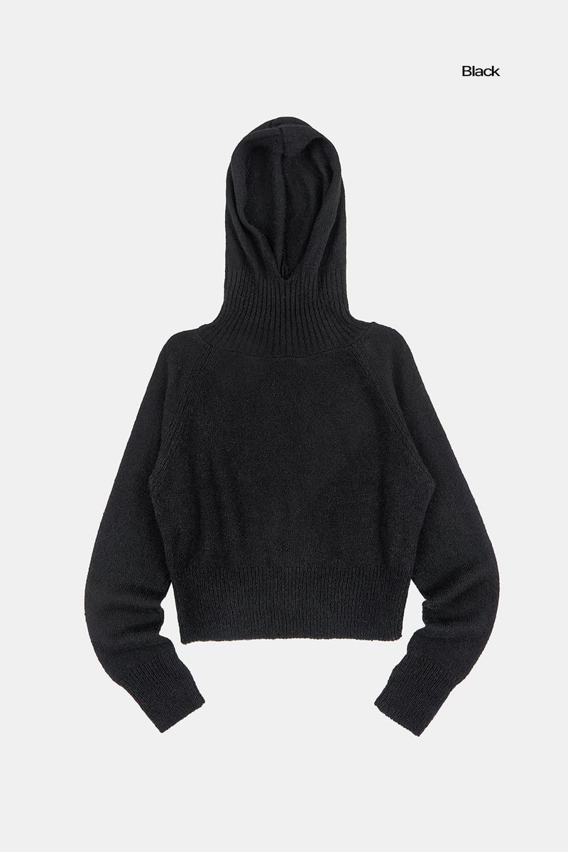 Dia wool raglan hooded knit