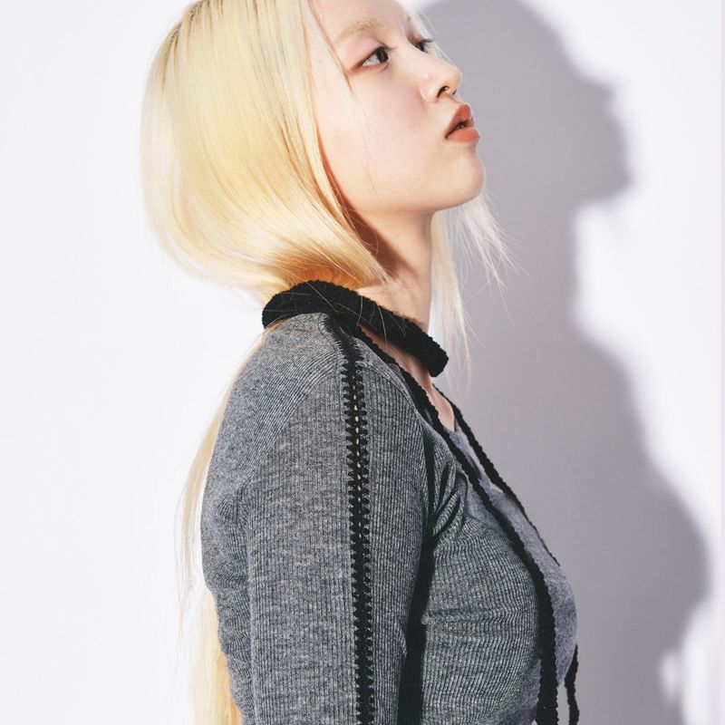 Line point knit top [gray]
